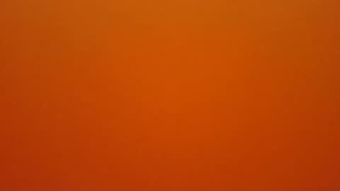 Snapshot of hundeleine chatting on February 2026 10:44:02 AM hundeleine online show from February 2026 10:44:02 AM