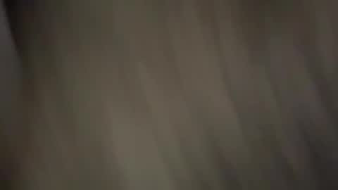 Snapshot of huskey300 chatting on February 2025 11:43:01 PM huskey300 online show from February 2025 11:43:01 PM