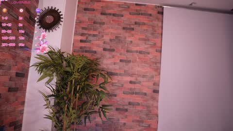 Lucy online show from January 2025 09:39:01 AM