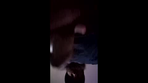 iamchango online show from March 2026 03:28:01 PM