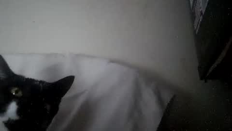 iamryan995442 online show from April 2026 05:35:01 PM