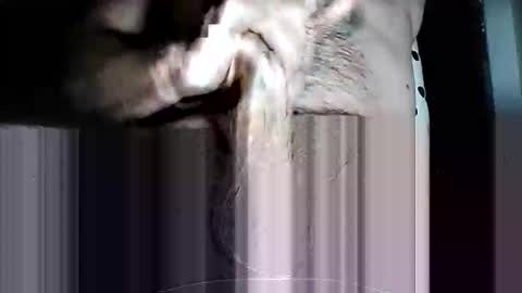 Pat online show from March 2026 10:10:01 AM