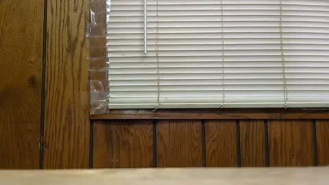 hard4u online show from December 2024 08:05:02 PM