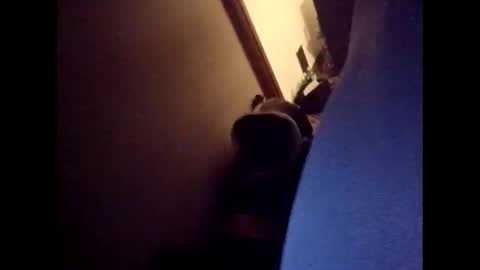 Freakyroofer online show from December 2025 09:40:01 AM