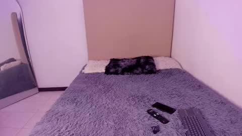 Snapshot of im_perseo_ chatting on February 2026 07:46:01 PM Perseo - Help me with 50 thumbs up online show from February 2026 07:46:01 PM