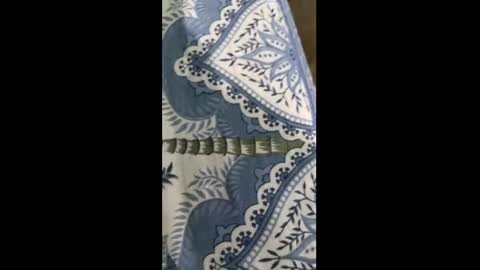 Indian desi6969 online show from March 2026 07:26:01 PM