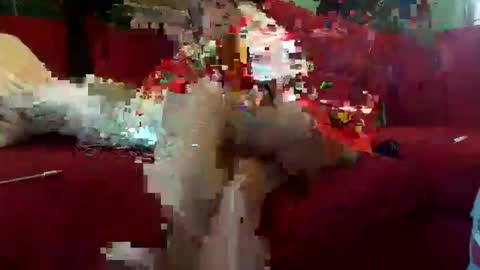 Snapshot of inmirrey chatting on May 2026 08:41:01 AM INMIRREY online show from May 2026 08:41:01 AM