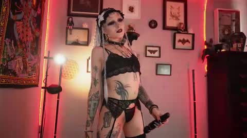 Snapshot of insania_999 chatting on February 2026 04:11:02 PM SANIA online show from February 2026 04:11:02 PM