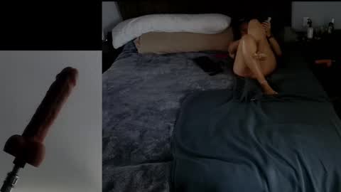 Snapshot of insatiablecpl333 chatting on February 2025 03:49:02 PM InsatiableCpl333 online show from February 2025 03:49:02 PM