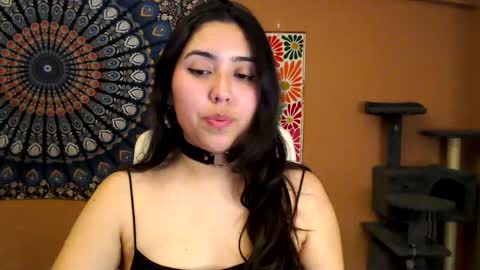 Snapshot of intimatetales chatting on February 2025 06:09:02 PM Africa online show from February 2025 06:09:02 PM