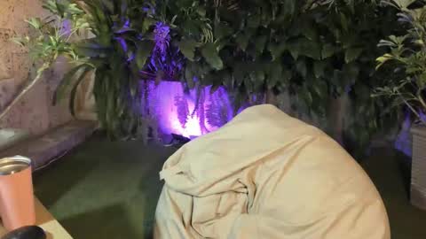 isabelastefano online show from October 2025 12:08:01 AM