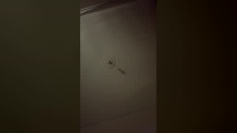isabellatsvbaby online show from May 2026 02:23:01 PM