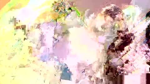 Snapshot of islandboy_ethan chatting on May 2026 04:04:02 PM Nathaniel online show from May 2026 04:04:02 PM