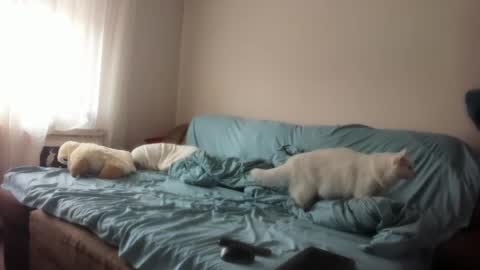 Issabelle online show from March 2025 06:26:02 AM