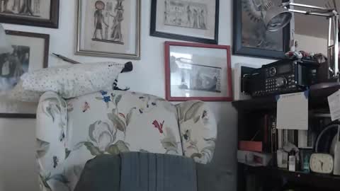 ImYourBitch online show from May 2026 05:31:02 PM
