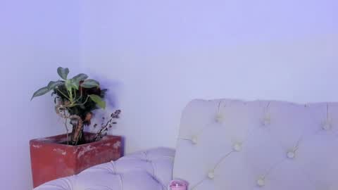 Maria online show from December 2024 02:27:02 PM