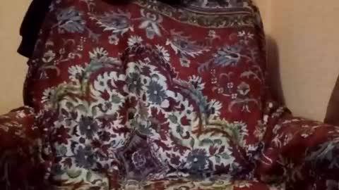 itsiamand online show from April 2026 05:01:02 PM