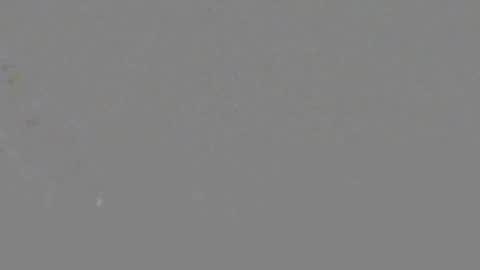 Snapshot of itsnyladior777 chatting on June 2026 03:39:02 PM ItsNyladior online show from June 2026 03:39:02 PM
