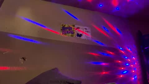 BellaMiaHerChicoBestia online show from December 2024 09:50:01 AM