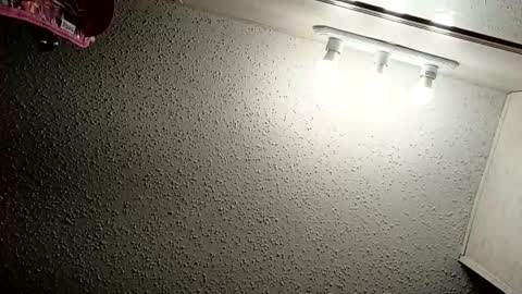 Snapshot of ittybittypritty chatting on November 2025 11:19:01 AM ittybittypritty online show from November 2025 11:19:01 AM