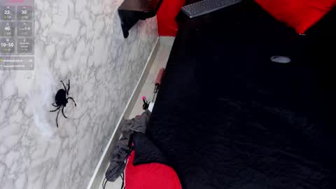 Ivis  online show from October 2025 01:18:01 PM