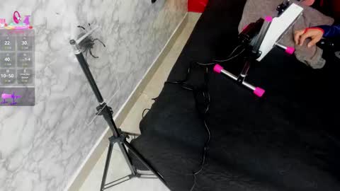 Ivis  online show from October 2025 12:17:02 PM