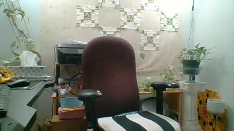 Snapshot of ivyjane3522 chatting on June 2026 12:24:02 AM ivyjane3522 online show from June 2026 12:24:02 AM