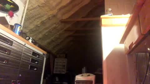 That  Guy  online show from January 2025 02:11:01 AM