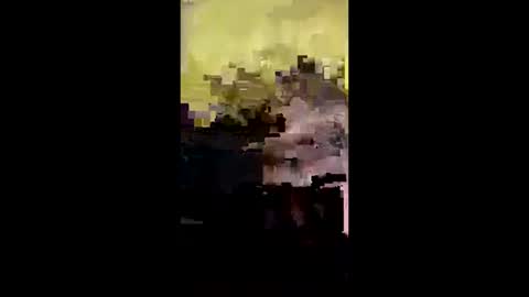 Snapshot of j557894 chatting on October 2025 05:08:01 AM j557894 online show from October 2025 05:08:01 AM