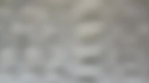 j727551 online show from February 2025 07:28:02 PM