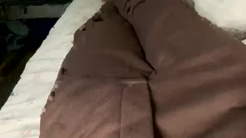 Jaaltar online show from February 2026 02:27:02 PM