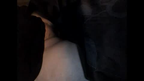 speedy online show from December 2024 05:31:02 AM