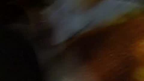 speedy online show from February 2026 10:03:02 AM