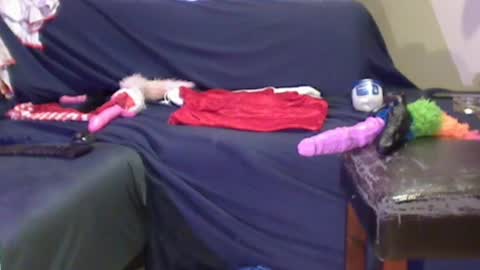 JACKSLUT BUY ME . FAN CLUB MEMBERS AND THOSE WHOM THE MEMBERS INDICATE SISY SLUT PROVIDES THEM  FREE SERVICES online show from December 2024 02:06:02 AM