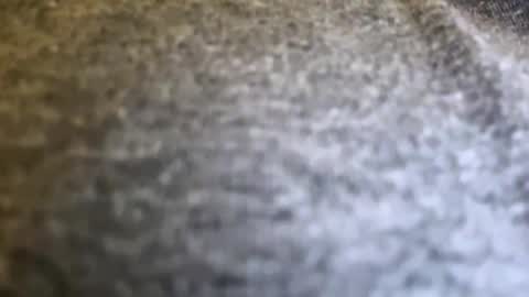 jackjackerman online show from April 2026 08:09:02 PM