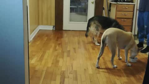 funtimes49203 online show from January 2026 02:08:01 PM