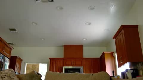 jacktome369 online show from November 2025 07:58:01 PM