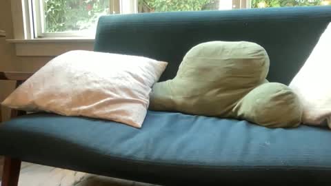 jack online show from December 2025 06:34:01 PM