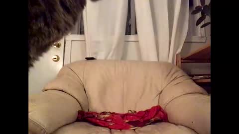 Jacob online show from March 2026 12:37:01 AM