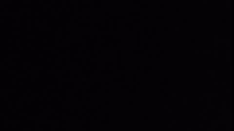 I online show from February 2026 11:49:02 PM