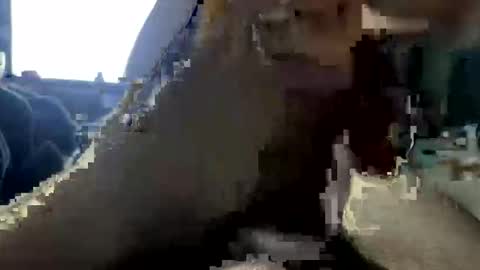 Snapshot of jalenwnut chatting on May 2026 04:29:02 AM jalenwnut online show from May 2026 04:29:02 AM