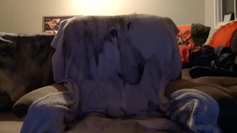 jameswolf777 online show from December 2025 02:44:02 PM