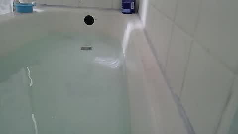 Snapshot of jamwarnerone chatting on February 2026 02:48:01 PM Bootyshows online show from February 2026 02:48:01 PM