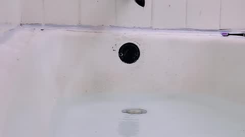 Snapshot of jamwarnerone chatting on March 2026 09:17:01 PM Bootyshows online show from March 2026 09:17:01 PM