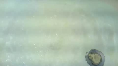 Bootyshows online show from July 2026 01:10:02 AM
