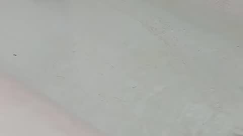 Bootyshows online show from July 2026 01:58:02 AM