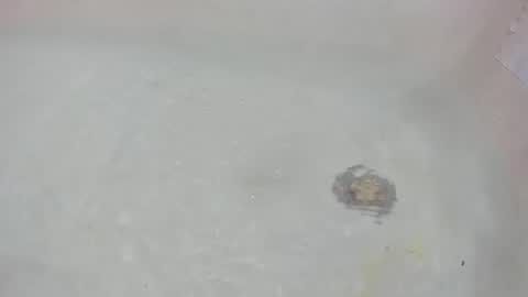 Bootyshows online show from July 2026 01:09:01 PM