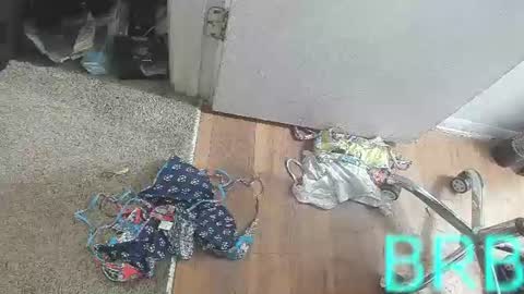 Bootyshows online show from August 2026 03:54:01 PM