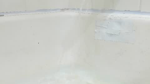 Bootyshows online show from August 2026 03:58:02 PM