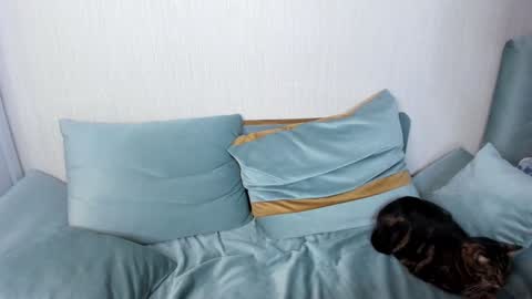 Jane online show from January 2025 09:04:01 PM